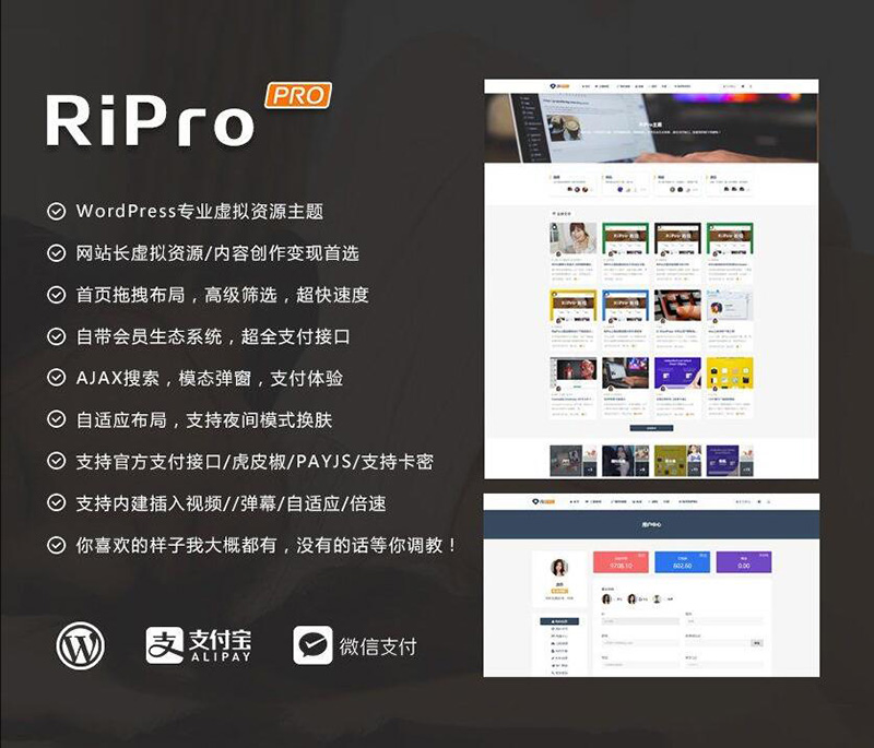 WordPress主题-ripro虚拟资源主题8.9开心版/免授权/ripro日主题V8.9